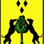 海尔詹斯丹队标